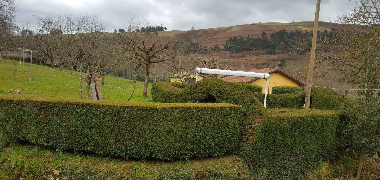 WhatsApp Image 2018-03-31 at 17.42.45